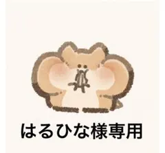 はるひな様専用ページです！