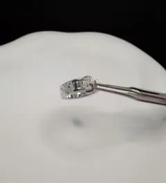 Item thumbnail for item 243a39a5-4915-4afa-b4c8-e47489f5436b