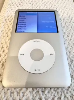 Item thumbnail for item 6f955976-5878-4e0d-a5eb-f7be87e0b98d