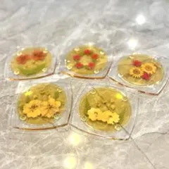 アクリルコースター 5枚セット 押し花 ドライフラワー