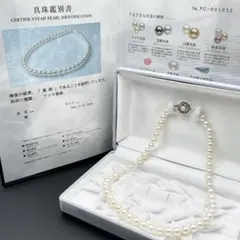 アコヤ真珠 花珠 真珠総合研究所鑑別書 約6.5-7 ネックレス Silver 2026年最新】真珠科学研究所 花珠 鑑別書付の人気アイテム - メルカリ