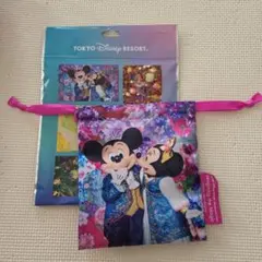 ☆ディズニー イマジニングザマジック ミッキー・ミニー 巾着☆
