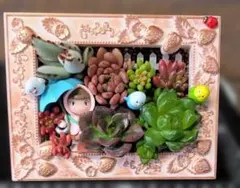 020602多肉植物の寄せ植え★青い傘の少女