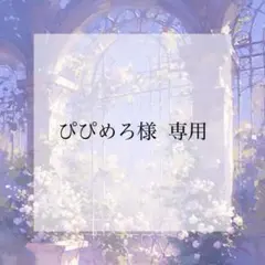 プレインシート　専用