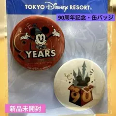 未開封】東京ディズニーランド 6周年記念バッジ① - メルカリ