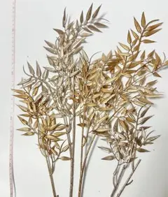 Item thumbnail for item e9ae3542-a268-4525-a7d4-bc7b1c640ed1