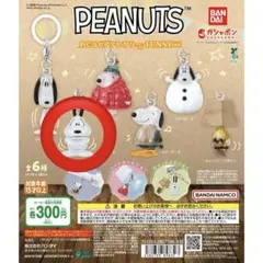 PEANUTS めじるしアクセサリー FUNNY