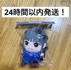 AKB48 ぬいぐるみ キーホルダー 千葉恵里 - メルカリ