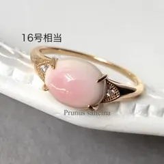 クイーンコンクシェル❤スフィア 激レア 天然 カリブ海 天然石 コンク 