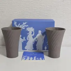 WEDGWOOD ウェッジウッド ナイト＆デイ　ペアビアマグ