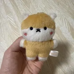 2026年最新】HAMSGYIの人気アイテム - メルカリ