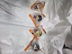 ハイキュー‼︎ プチっとすわりマス 全4種セット