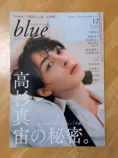 吉沢亮 神尾楓珠 オーディション ブルー Audition blue - メルカリ