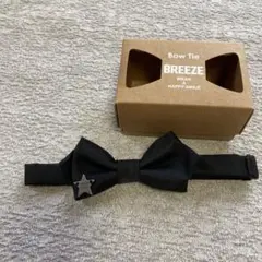 Item thumbnail for item bc5fe7f9-0097-4384-aa03-4daabdeb9f74