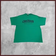 US古着 GILDAN ギルダン プリント Tシャツ半袖 グリーン 2XLサイズ