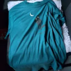 Item thumbnail for item c39cc4f7-66de-44aa-928d-a1e56469abc4