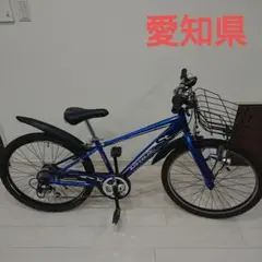 【栃木県南　茨城県西指定場所引渡し限定】シナネンサイクル　スティーバーズA 24 栃木県南 茨城県西指定場所引渡し限定】シナネンサイクル スティー