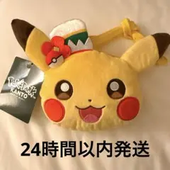 ポケパーク ピカチュウ ぬいぐるみ ポシェット