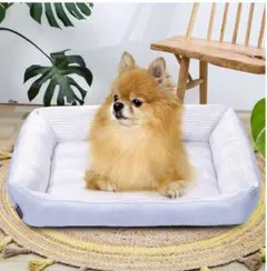 Item thumbnail for item 23dfe618-d427-43b5-87e7-85f0738c7375