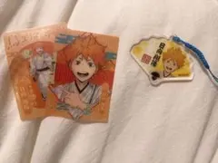 ハイキュー！ 日向翔陽 京都