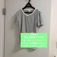 【H&M 】新品未使用タグ付き　オーガニックコットン レディース半袖カットソーのサムネイル