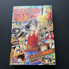 NARUTO秘伝・臨の書キャラクタ－オフィシャルデ－タBOOK