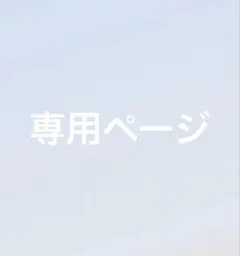 専用ページ