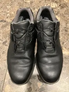 Item thumbnail for item bdaf55e7-0b7f-4399-bced-7492212d7075