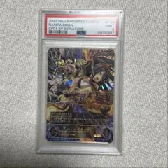 2026年最新】シャドウバースエボルヴ psa10の人気アイテム - メルカリ