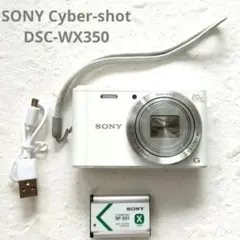 2026年最新】SONY DSC WX350の人気アイテム - メルカリ