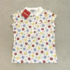 Item thumbnail for item 94131f24-eabb-40d0-b93b-687e18d0417d