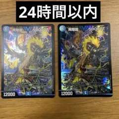 2025年最新】飛翔龍 5000vtの人気アイテム - メルカリ