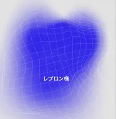 レブロン様　専用