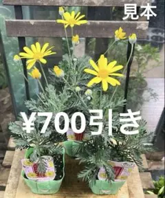 カメ様 リクエスト 4点 まとめ商品