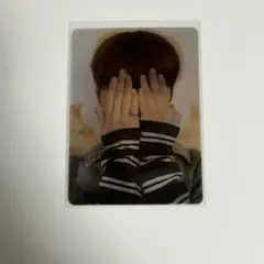 SEVENTEEN セブチ トレカ　ディノ