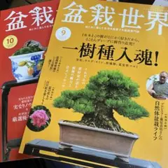 国風盆栽展 第81回 第82回 図録 2冊セット - メルカリ