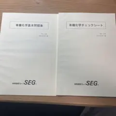 2026年最新】seg 化学の人気アイテム - メルカリ