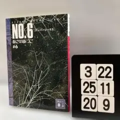 NO.6 #6 3-22*25.20*9