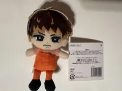 Snow Man向井康二　すのチルぬい