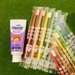 【１ヶ月お試し】チェックアップ kodomo シュシュ 歯磨き粉 歯ブラシ k2