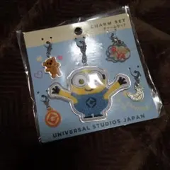 ミニオンチャームセット