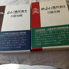 書き下ろし小説 高山羽根子 尾崎世界観 小冊子 - メルカリ