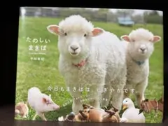 Item thumbnail for item 098711d4-6200-4abb-aded-05c6bfc178a6