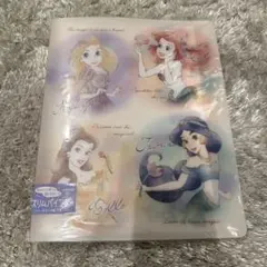 ディズニー プリンセス スリムバインダー