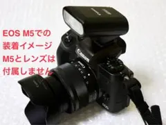 Item thumbnail for item 9679c5c9-33d6-4b4a-b1de-cec212b97998