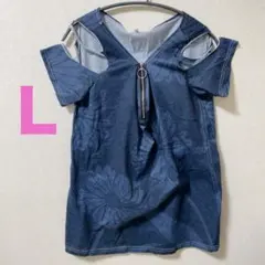 Item thumbnail for item 69b763d9-845d-4ca4-afb5-7e1f2b09cb35