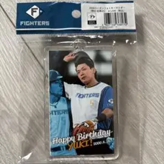 北海道日本ハムファイターズ 野村佑希 フォトキーホルダー