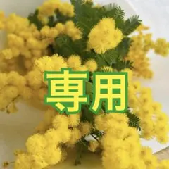 千秋＊プロフ一読願います様 リクエスト 2点 まとめ商品