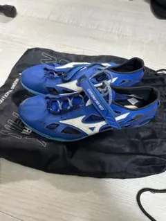 Item thumbnail for item 1e80069a-78f2-4ccb-8408-4a3c2b2db8e3