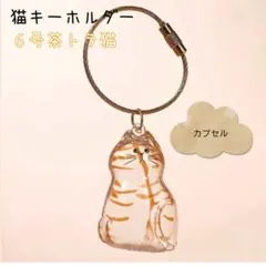 猫様の下僕~プロフミテネ~様 リクエスト 2点 まとめ商品